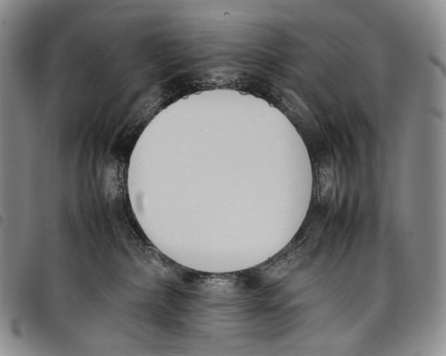 X0000097980236200804141125