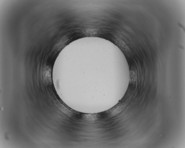 X0000097980238200804141125