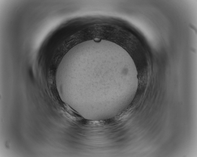 X0000097980239200804141125