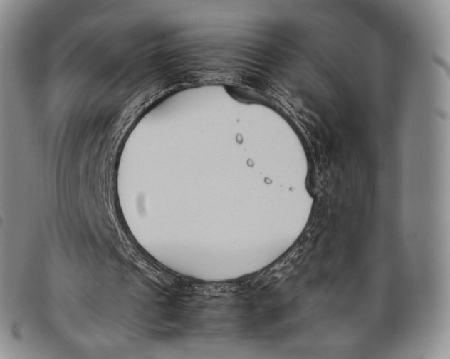 X0000097980241200804141124