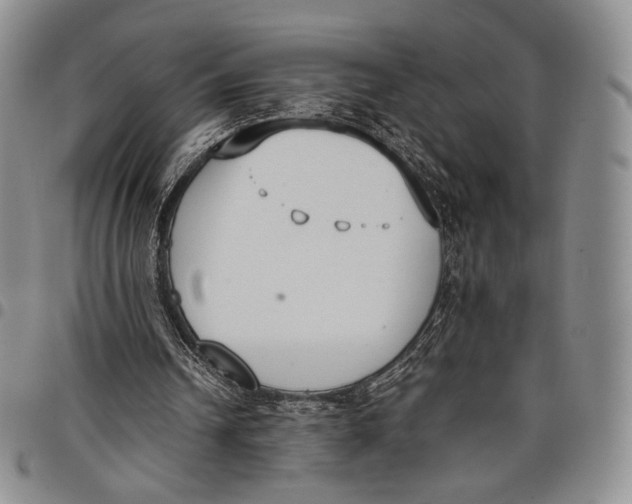 X0000097980242200804141124