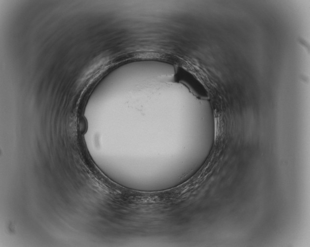 X0000097980243200804141124