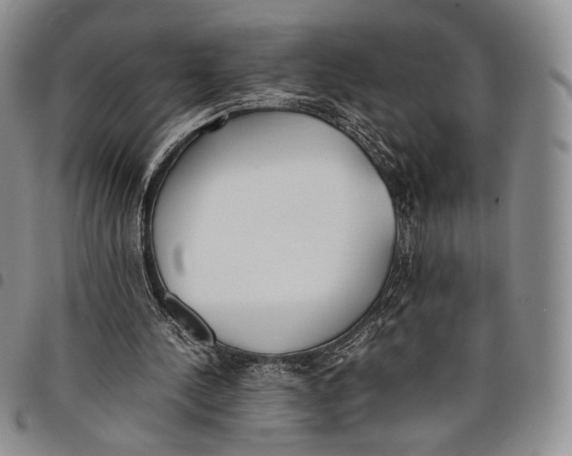 X0000097980244200804141124