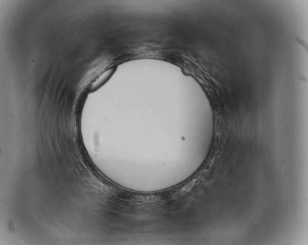 X0000097980245200804141124