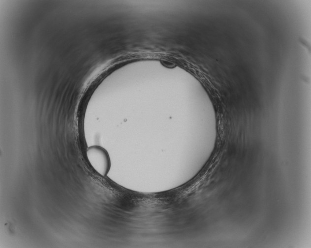 X0000097980246200804141124