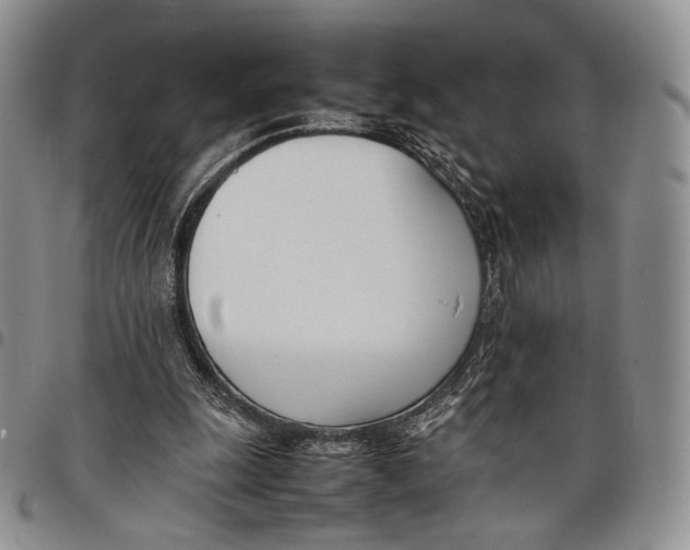 X0000097980247200804141124