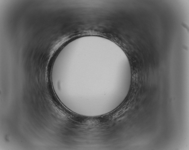 X0000097980248200804141124