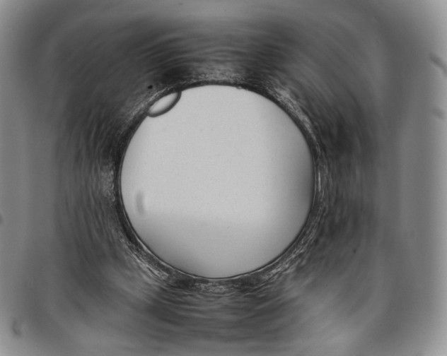 X0000097980249200804141124