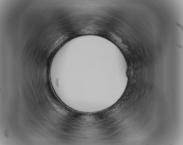 X0000097980250200804141124