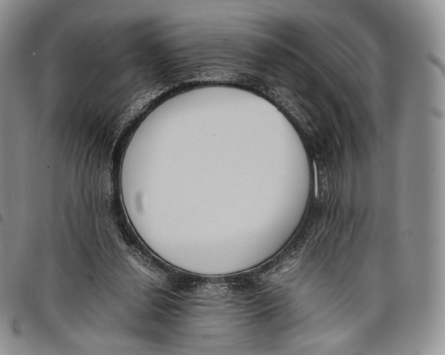 X0000097980252200804141124