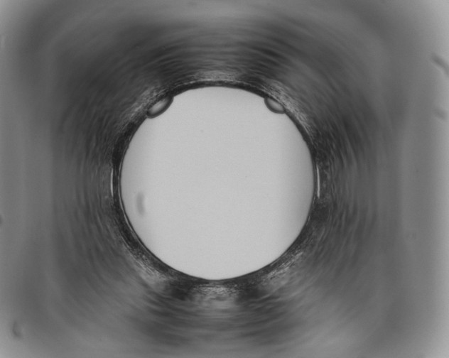 X0000097980253200804141124