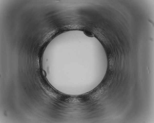 X0000097980254200804141124