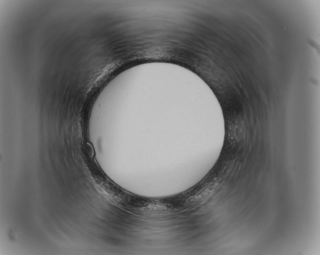 X0000097980256200804141124