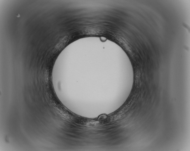 X0000097980257200804141124