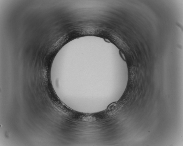 X0000097980258200804141124