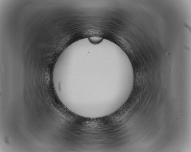 X0000097980259200804141124