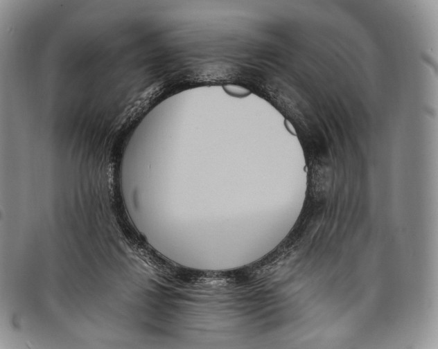 X0000097980260200804141124