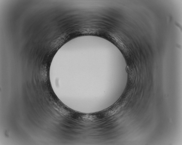 X0000097980261200804141124