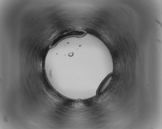 X0000097980262200804141124