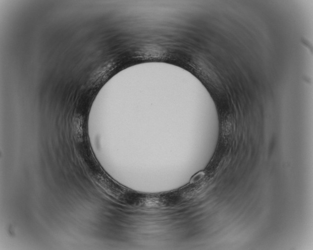 X0000097980264200804141124