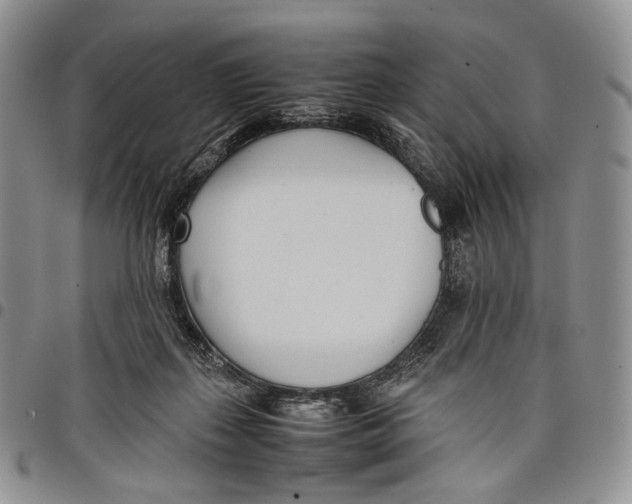 X0000097980267200804141124