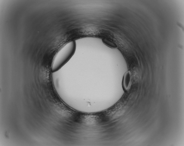 X0000097980268200804141124