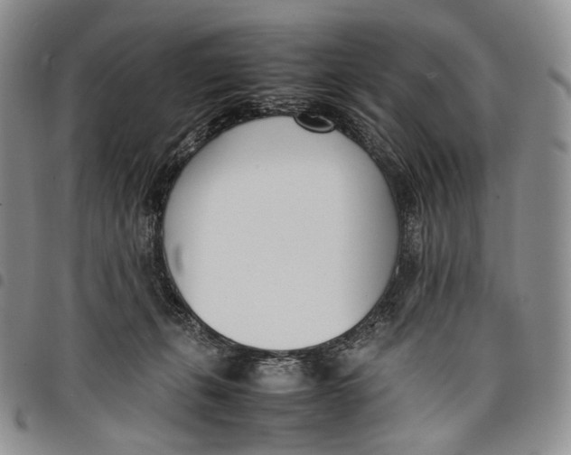 X0000097980271200804141124