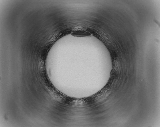 X0000097980272200804141124