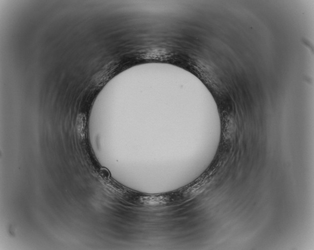 X0000097980273200804141124