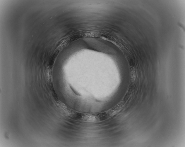 X0000097980276200804141124