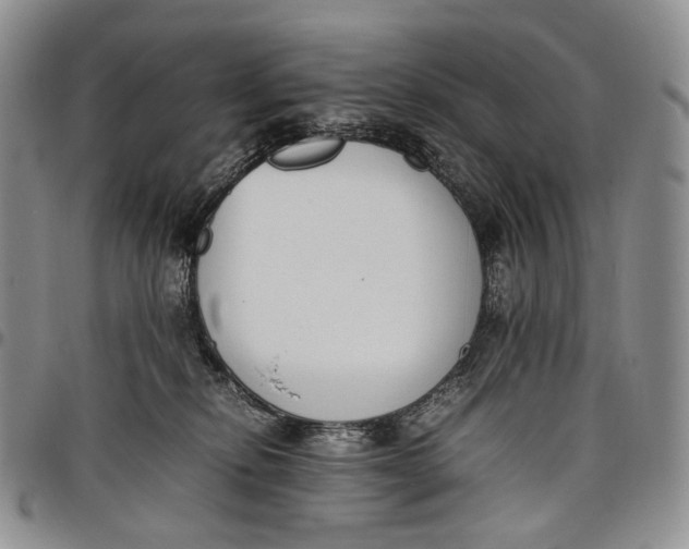 X0000097980278200804141124