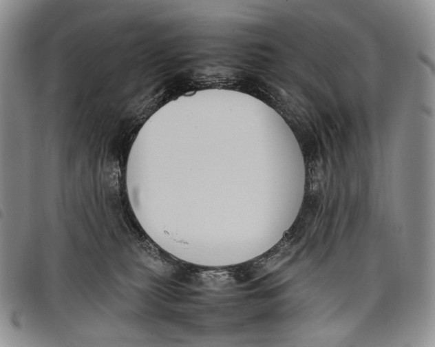 X0000097980279200804141124