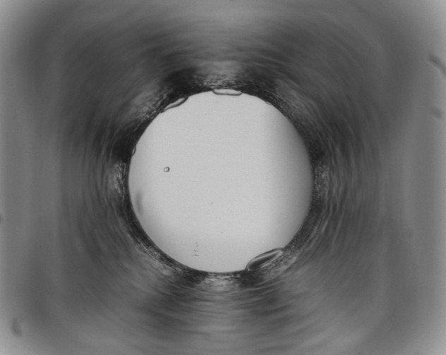 X0000097980280200804141124