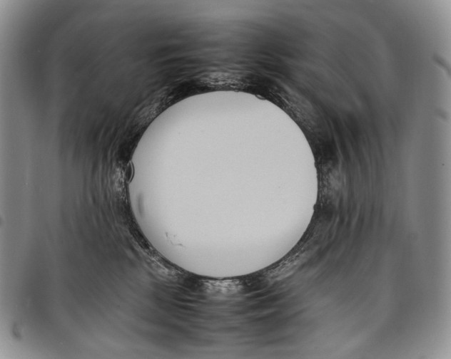 X0000097980281200804141124