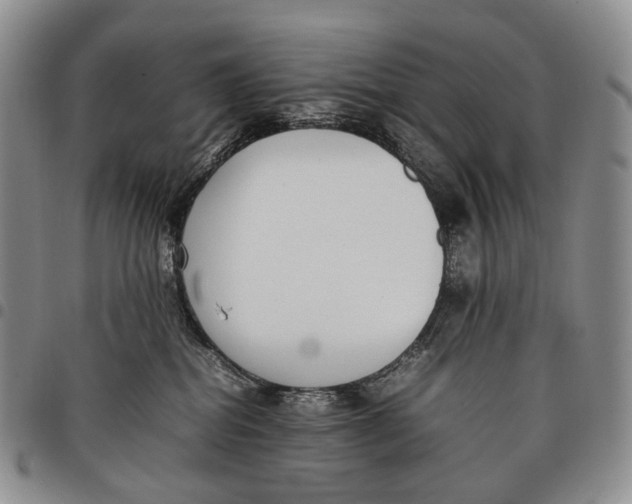 X0000097980282200804141124