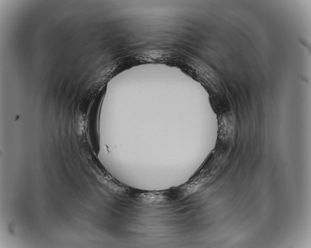 X0000097980284200804141124