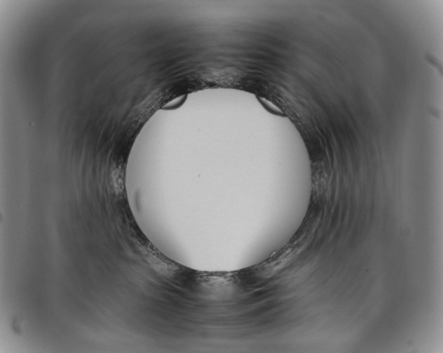 X0000097980285200804141124