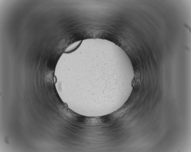 X0000097980286200804141124