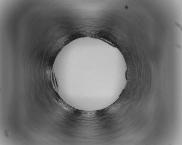 X0000097980288200804141125