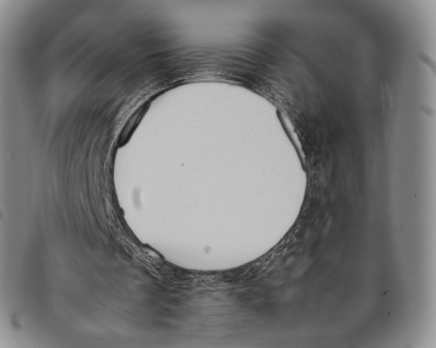 X0000097980289200804141124