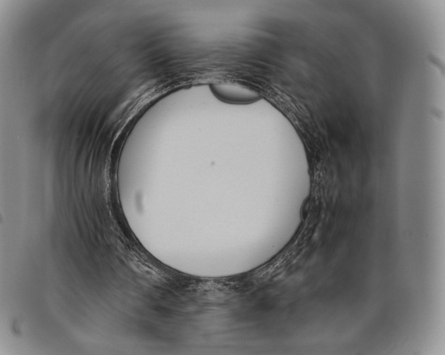 X0000097980290200804141123