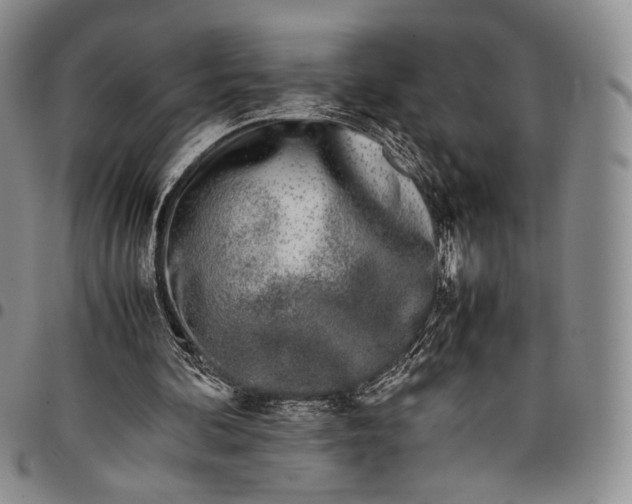 X0000097980292200804141123