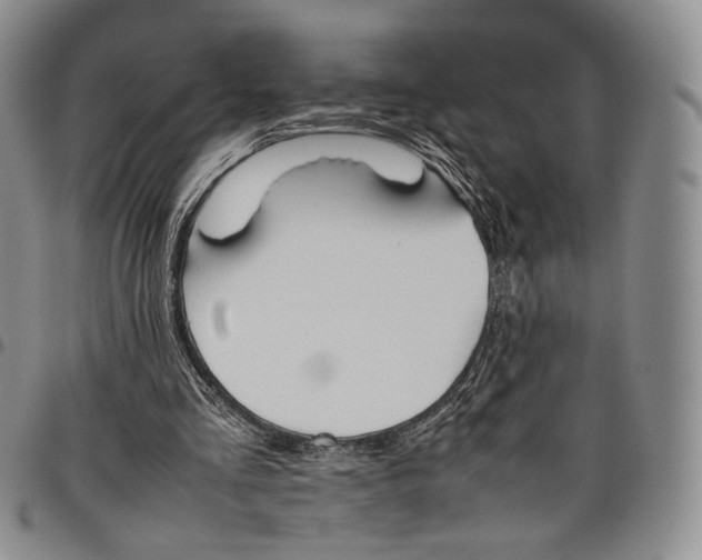 X0000097980293200804141123