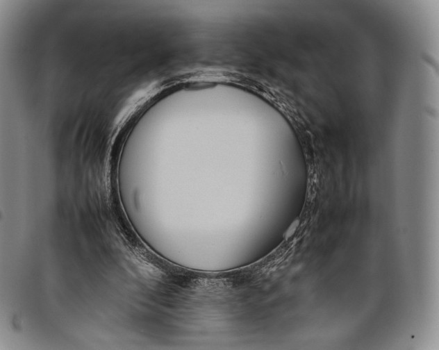 X0000097980296200804141123