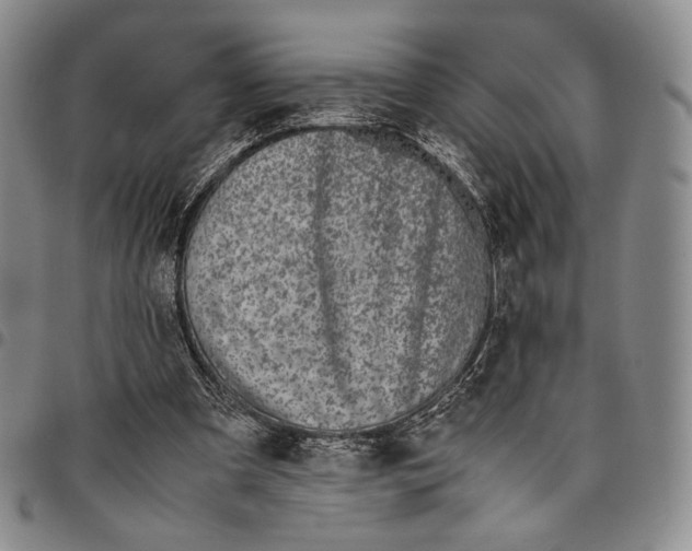 X0000097980297200804141123