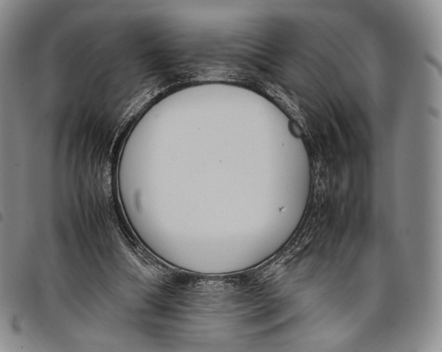 X0000097980298200804141123