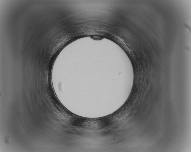 X0000097980299200804141123