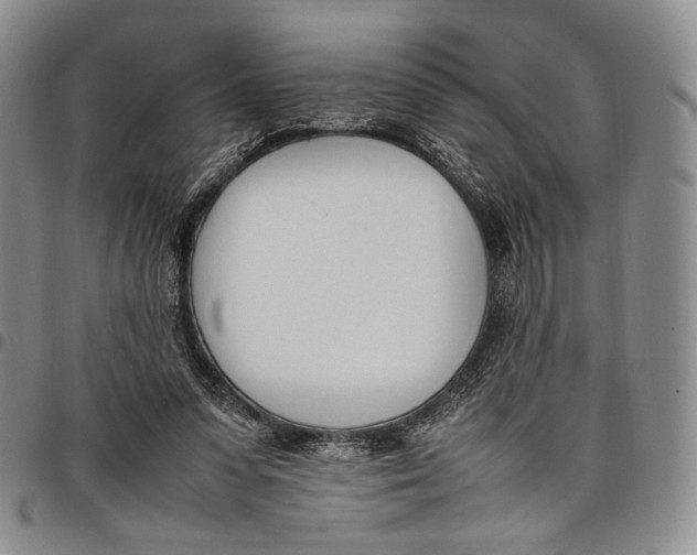 X0000097980303200804141123