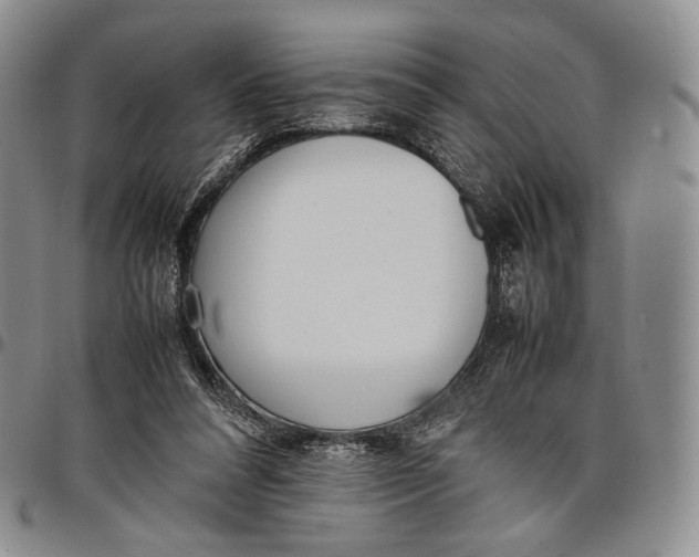 X0000097980304200804141123