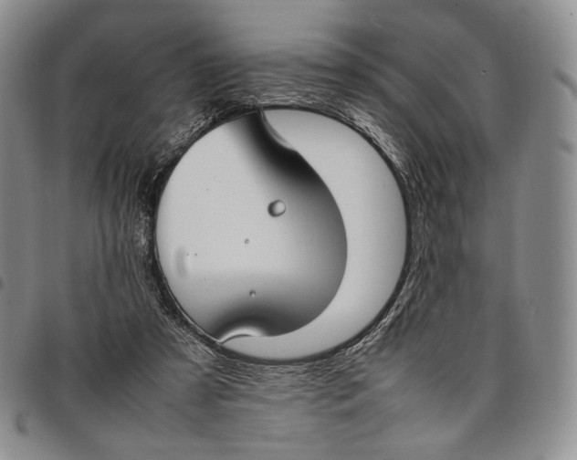 X0000097980305200804141123